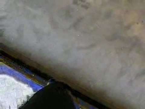 Autos Tamponeuses suite