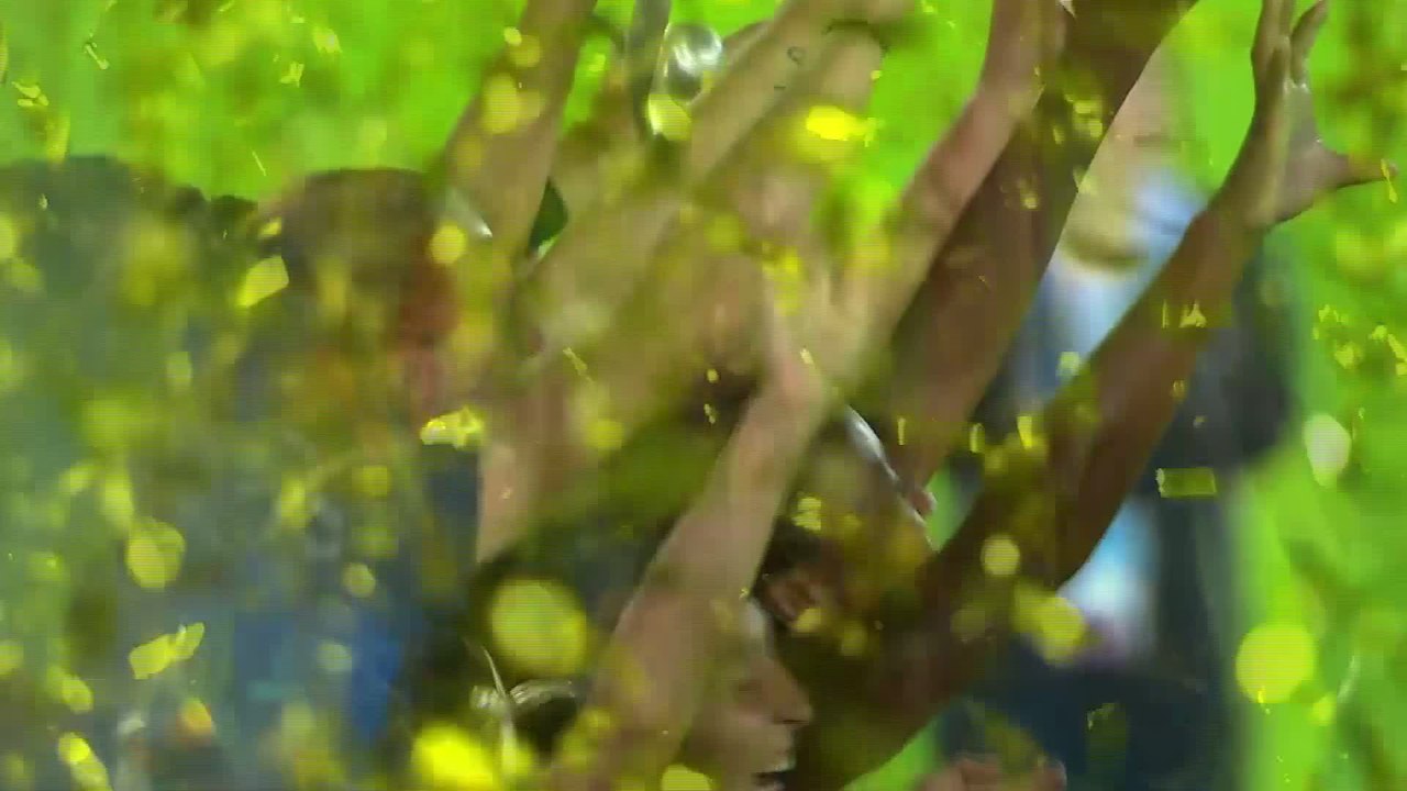 Foot - Euro - U19 (F) : La remise du trophée