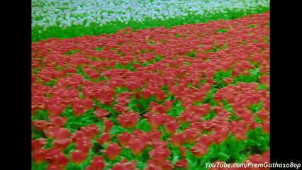 Dekha Ek Khwab - Silsila (1080p HD Song)