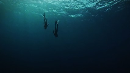 Обманчивая Тишина Подводного Мира / Unsilent World (2011)