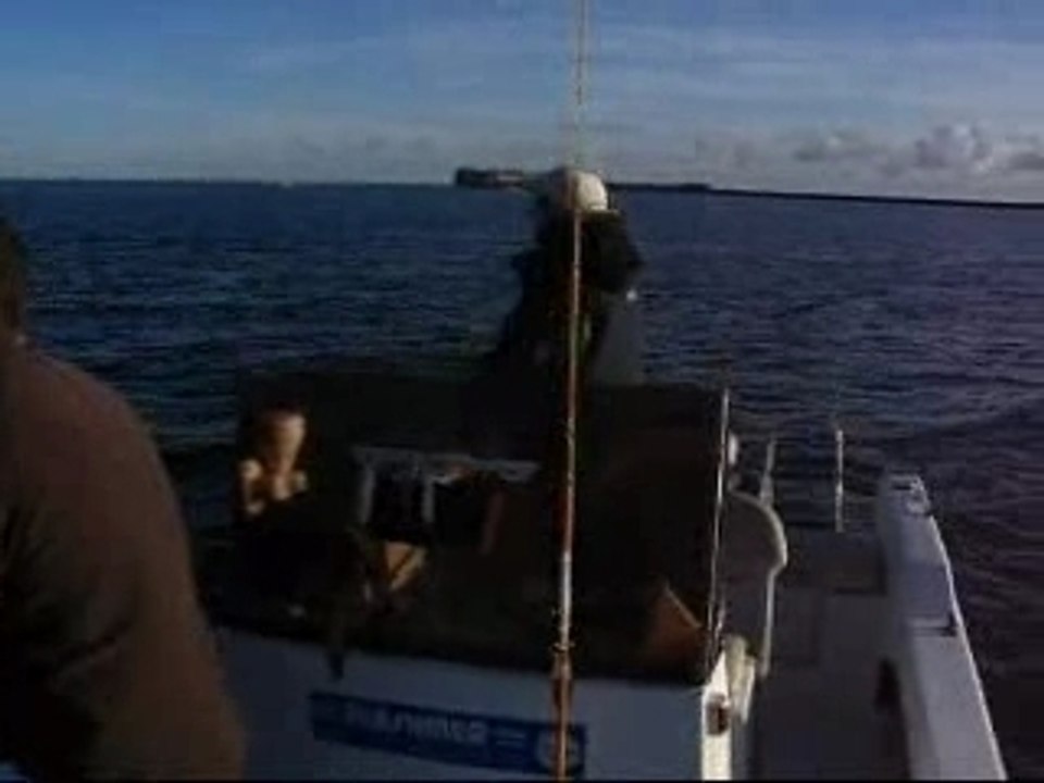 Pêche du bar au leurre de surface