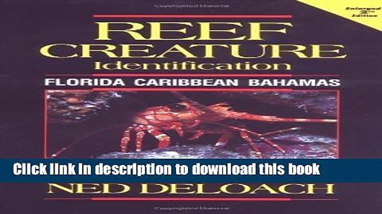 Ebook Reef Fish Identification: Florida Caribbean Bahamas by Paul Humann (Oct 1 2002) Free Online