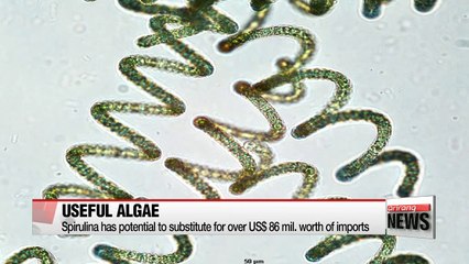 Researchers in Korea develop technology to mass produce spirulina
