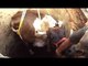 Cow rescued from 35 feet deep well