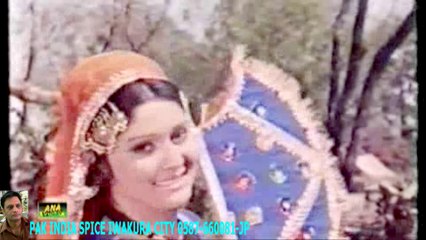 TERE RANG WICH RANG LIYA- NOOR JHAN ーHD ハラルスパイス岩倉市ジャパンSPICE FOOD JP_1