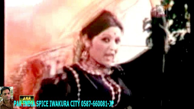 UD JANYE HUWAYE- NOOR JHAN ーHD ハラルスパイス岩倉市ジャパンSPICE FOOD JP_1