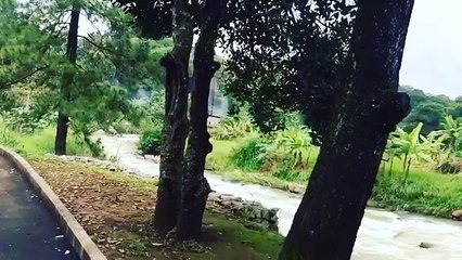 علاج الكلى حتى الي عنده فشل كلوي اذا وجتو المقطع انشروه لعل احد ينتفع به