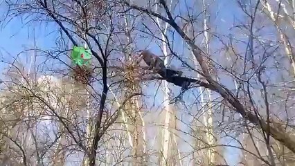 #POKEMON GO in RUSSIA