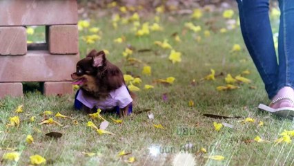 U-Prince Series ตอน ธีสิส ตอนที่ 3 ย้อนหลัง 31 ก.ค. 59