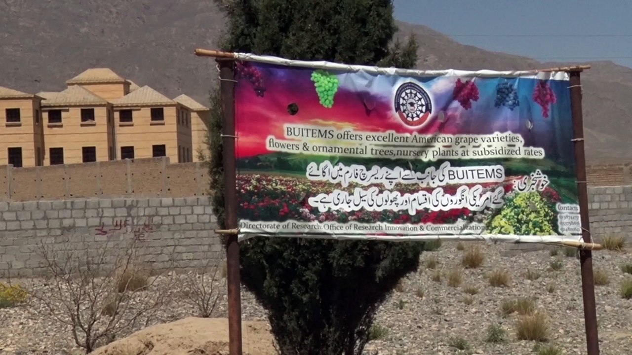 10_APR_2016_CHILTAN_CAMPUS_SUMAIRA_SUMAIRA_QTA_1