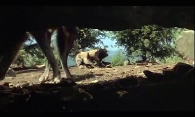*VIRAL* A brave dog who saved three baby leopards from a wolf!
