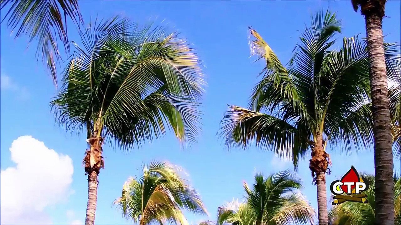 Chasseurs de trucs paranormals : Un Ovni bien étrange...