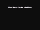 different  What Makes You Not a Buddhist