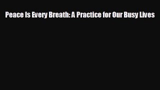 there is Peace Is Every Breath: A Practice for Our Busy Lives
