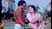 MERI BADAL GHI DHOLA- NOOR JHAN ーHD ハラルスパイス岩倉市ジャパンSPICE FOOD JP_1