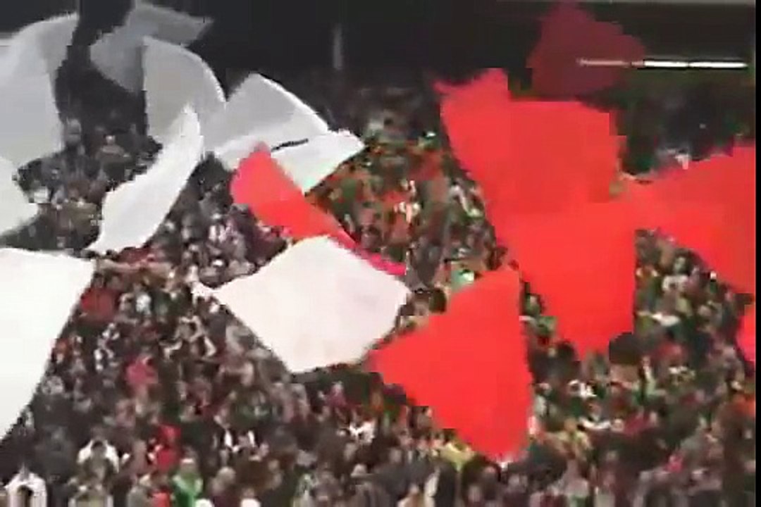 Delije Sever - Napred Zvezda samo napred Zvezda