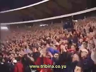 Delije Sever - Njega jebemo njega karamo