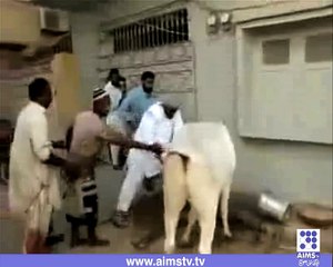 بکرا عید قریب ہے یہ ویڈیو لازمی دیکھ لیں کہیں آپ کے ساتھ ایسا نہ ہو