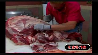 Whole Cow Processed in under 12 minutes!|NoneTV