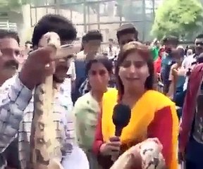 Off Camera Video of Female Reporter Doing PTC Holding Snake in Her Hand, Interesting