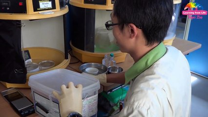 跨領域合作傳出好消息 金門栗喉蜂虎雛鳥滿月