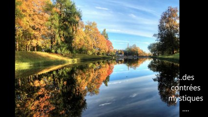 Fée oubliée de Brocéliande *Gentiane* nouveau roman de Ch. Antunes