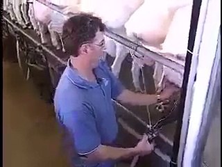 بکریوں کا زبردست فارم دیکھیں۔۔۔