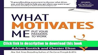 Ebook What Motivates Me: Put Your Passions to Work Free Online