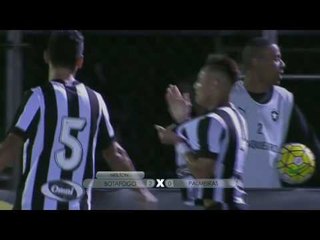 Brasileirão 2016 - Botafogo 3 x 1 Palmeiras