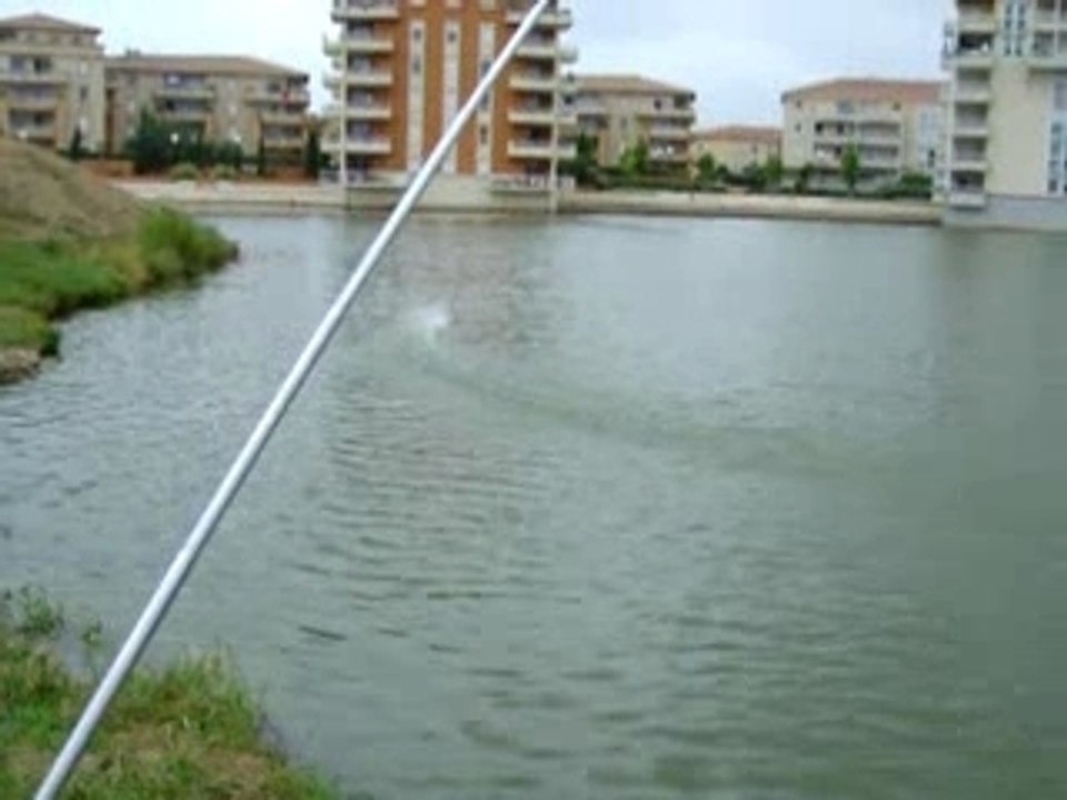 poulpito evo lipo 1700