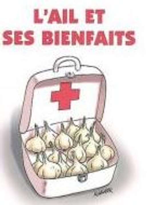 Vertus médicinales de l'Ail-extrait de Xenius_Arte_2016_07_29