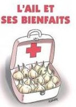 Vertus médicinales de l'Ail-extrait de Xenius_Arte_2016_07_29