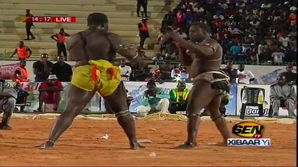 Video inédite- Tout ce que vous avez raté aprés la chute de Gris Bordeaux