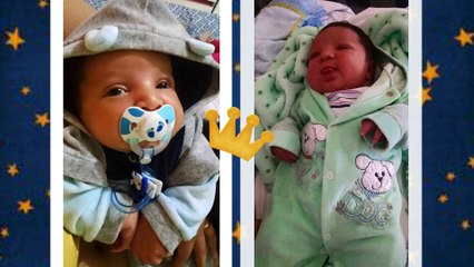 Retrospectiva Pequeno Príncipe - Enzo Miguel 1 ano