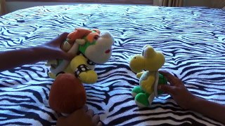 Bowser's Robbery