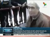 Prisioneros palestinos comienza huelga de hambre en apoyo a Kaied