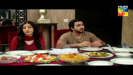 Haya Ke Daman Mein Episode 88 Full in HD on Hum TV 1st August 2016