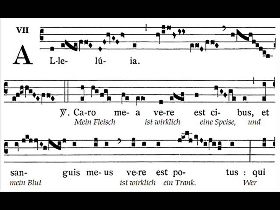 Alleluia Caro mea vere, Dominica XX TpA (20è TO)
