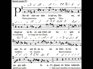 Introitus Protector noster, Dominica XX TpA (20è TO)