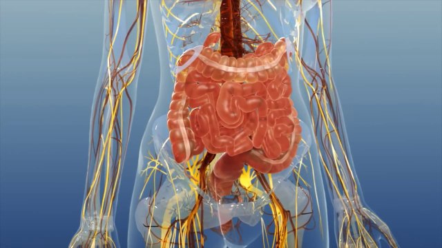 Google se une a la farmacéutica GSK para crear fármacos bioelectrónicos