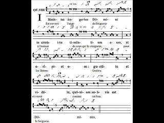Offertorium Immittet angelus, Dominica XX TpA (20è TO)