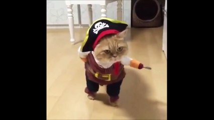 sünger bob VE Çizmeli Kedi )))