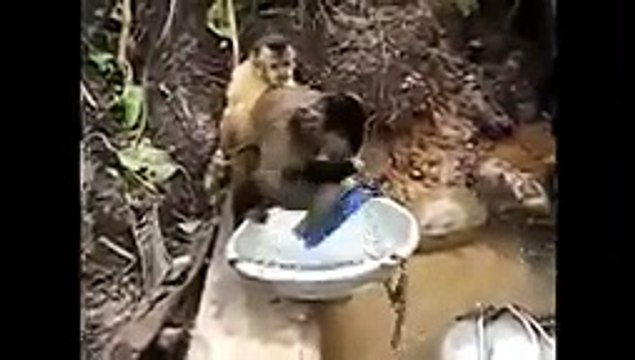 Funny Animals Behaving like Humans