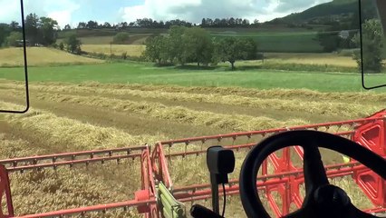 D!CI TV : Avec Lionel dans sa moissonneuse-batteuse au dessus de Gap