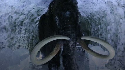 The Mission to Resurrect the Woolly Mammoth