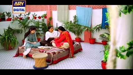 Watch Mein Mehru Hoon Episode 13 on Ary Digital in High Quality 1st August 2016