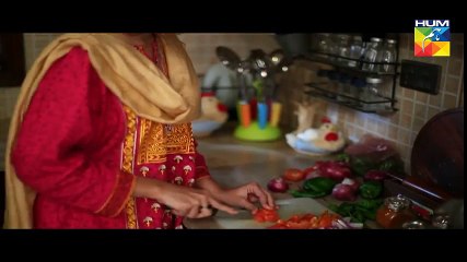 Be Aitbaar Episode 13 on Hum tv 1st August 2016 -