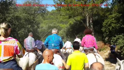 BEAUCAIRE-Abrivado-longue-Abbaye de Saint-Roman-2016-07-28-manade l'Amista-VL