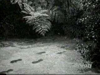 Three Stooges - Some More Of Samoa