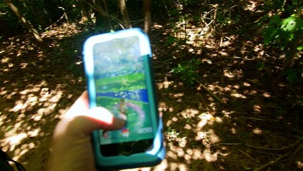 DOMINATING Pokemon Go By Car!